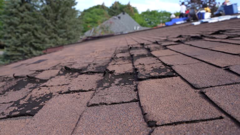 Best Storm Damage Roof Repair  in Cape Girardeau, MO