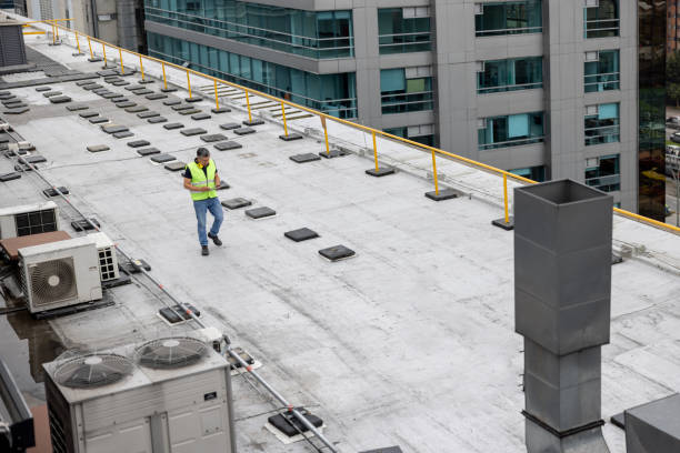 Best Skylight Installation and Repair  in Cape Girardeau, MO